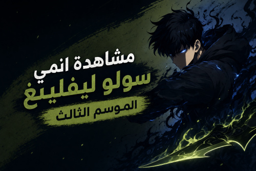 مشاهدة انمي سولو ليفلينغ الموسم الثالث