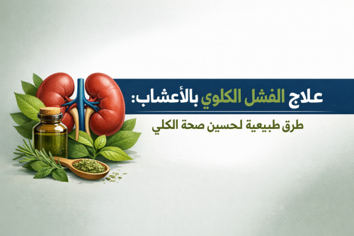 علاج الفشل الكلوي بالأعشاب: طرق طبيعية لتحسين صحة الكلى