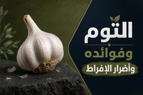 الثوم وفوائده وأضرار الإفراط