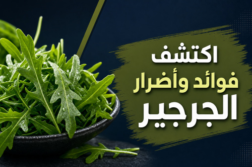 اكتشف فوائد وأضرار الجرجير