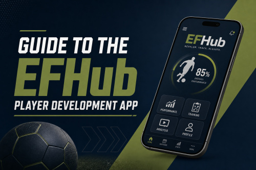 شرح تطبيق تطوير جميع اللاعبين - EFHub