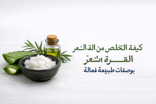 كيفية التخلص من قشرة الشعر بوصفات طبيعية فعالة