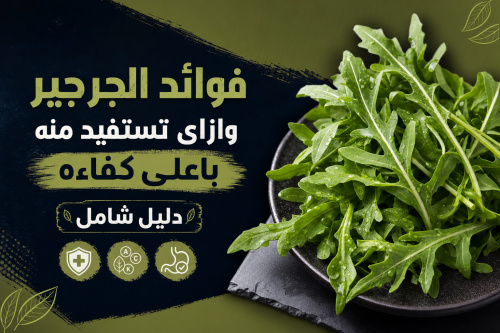 فوائد الجرجير وازاي تستفيد منه باعلى كفاءه دليل شامل