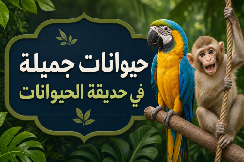 حيوانات جميلة في حديقة الحيوانات