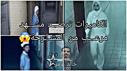 مشرحة ألمانيا: كل ما تحتاج لمعرفته عن خدمات الطب الشرعي